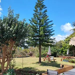 Appartement Viewpoint Machico - Lovely Nature View, Machico (Madeira)